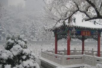 撫順勞動(dòng)公園在哪？撫順勞動(dòng)公園景點(diǎn)介紹