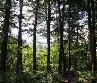 大砬子山休闲运动景区在哪？大砬子山休闲运动景区景点介绍