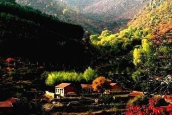 乌兰坝森林旅游区在哪？乌兰坝森林旅游区景点介绍