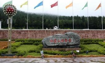 栖霞山植物园在哪？栖霞山植物园景点介绍