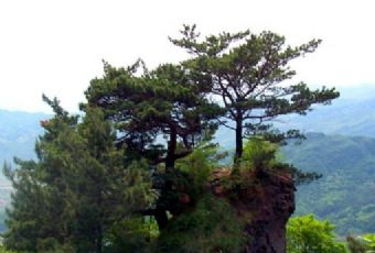 天女山自然风景区在哪？天女山自然风景区景点介绍