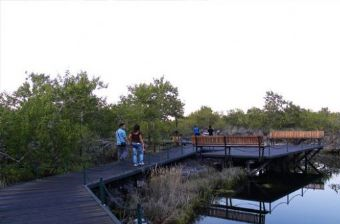 三道關國家森林公園在哪？三道關國家森林公園景點介紹