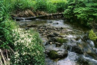 兴龙峡谷在哪?兴龙峡谷景点介绍