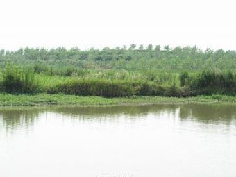 官桥城子古文化遗址在哪?官桥城子古文化遗址景点介绍