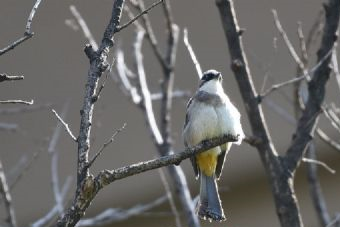 祝寿山庄在哪？祝寿山庄景点介绍
