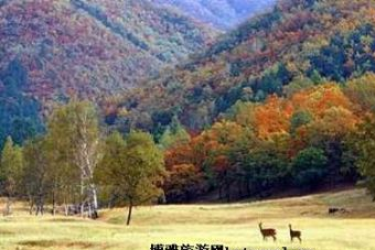 红松阔叶混交林在哪?红松阔叶混交林景点介绍