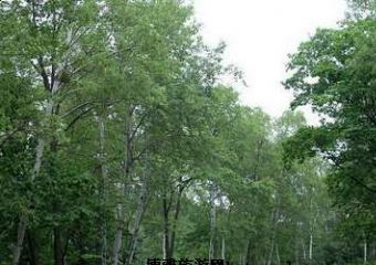 那丹嶺上奇秀探幽在哪？那丹嶺上奇秀探幽景點介紹