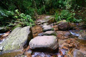 江阴绮山森林公园在哪？江阴绮山森林公园景点介绍