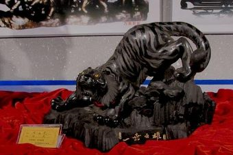 抚顺煤精琥珀博物馆在哪?抚顺煤精琥珀博物馆景点介绍