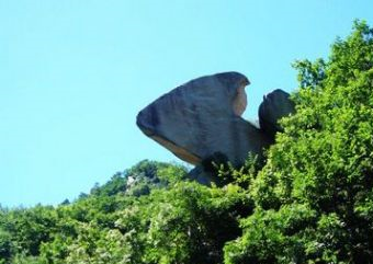 古火山次生林植物園在哪？古火山次生林植物園景點(diǎn)介紹