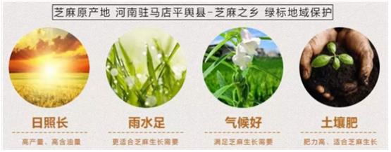 为什么河南驻马店村里味的黑芝麻丸功效比较好?