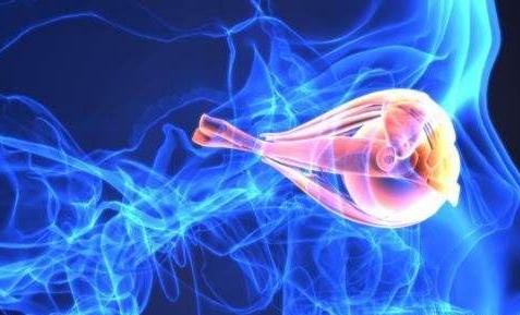 引起视神经脊髓炎的病因有哪些?视神经脊髓炎的并发症