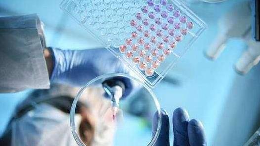 大叶性肺炎的疾病分类有哪些?怎么预防大叶性肺炎?