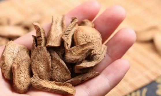 牛蒡茶有哪些营养价值?牛蒡茶有哪些作用?