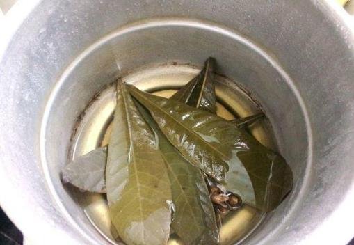 枇杷叶煮水喝咳嗽加重怎么回事?枇杷叶熬水喝能治咳嗽吗?