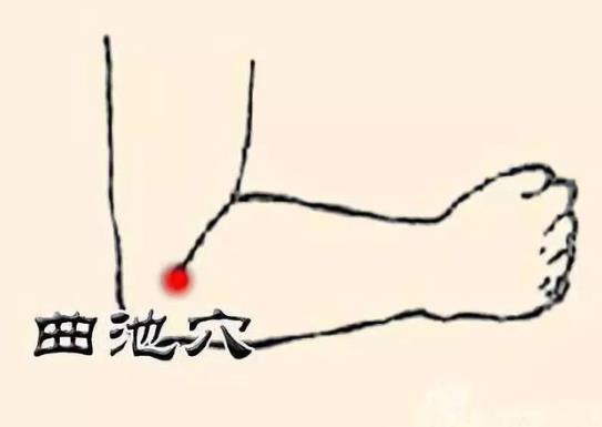 曲池的准确位置图,曲池的功效与作用