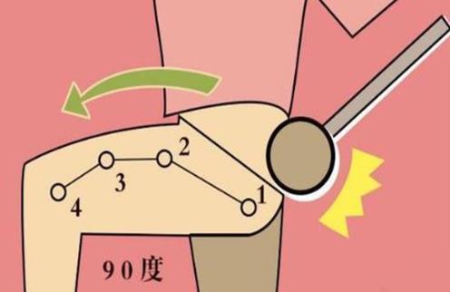 敲打胆经为什么能减肥排毒?胆经在哪个地方?