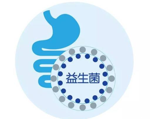 长期服用益生菌对身体有害吗?乳酸菌素片是益生菌的一种吗?