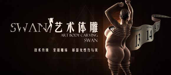 为什么选择丁小邦的SWAN艺术体雕