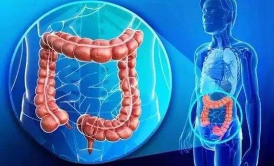 患直肠癌有哪些症状?直肠癌有哪些分类?