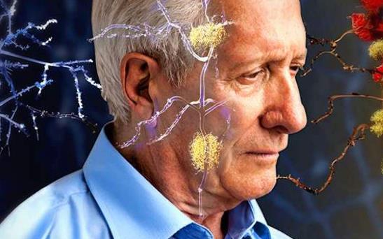 痴呆的疾病分类有哪些?怎么预防老年痴呆?