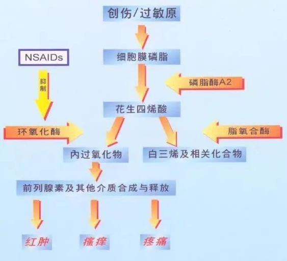 成都西部痛风风湿医院:非甾体抗炎药在类风湿关节炎用药中扮演着怎样的角色