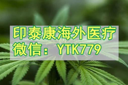 乐伐替尼价格:靶药“黑马”,30片装的乐伐替尼价格多少钱?