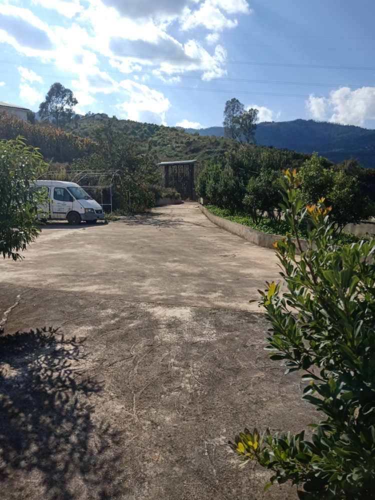 青平村介绍_小常识