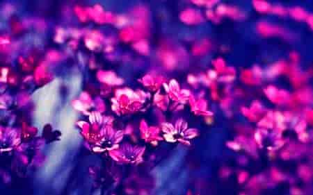 高槻市在哪 高槻市景点介绍 小常识