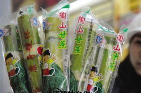 陶山甘蔗是哪儿的特产吗？陶山甘蔗介绍