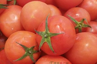 浦口杨村番茄是哪儿的特产吗？浦口杨村番茄介绍