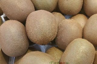 罗坪野生猕猴桃是哪儿的特产吗？罗坪野生猕猴桃介绍