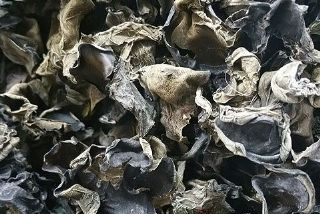 始兴黑木耳是哪儿的特产吗?始兴黑木耳介绍