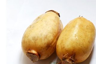 黄金村莲藕是哪儿的特产吗?黄金村莲藕介绍