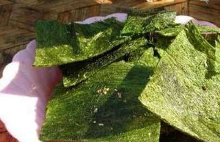 毫崩是哪儿的特产吗？毫崩介绍