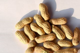 朝天扯篼子花生是哪儿的特产吗？朝天扯篼子花生介绍