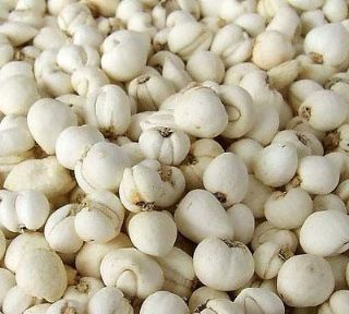 馬五店貝母是哪兒的特產嗎？馬五店貝母介紹