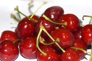 小寨樱桃是哪儿的特产吗？小寨樱桃介绍